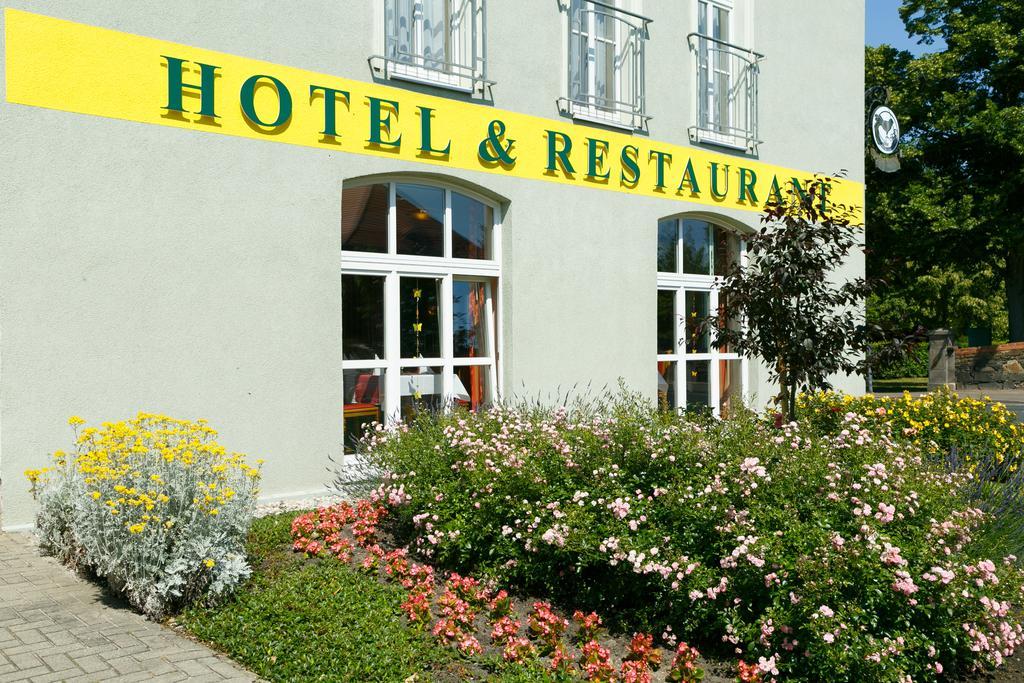 Hotel Goldener Fasan Oranienbaum-Woerlitz Luaran gambar